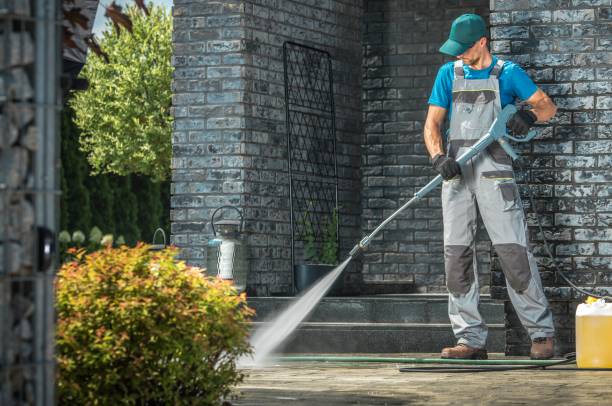 Best Patio and Deck Pressure Washing  in Luna Pier, MI