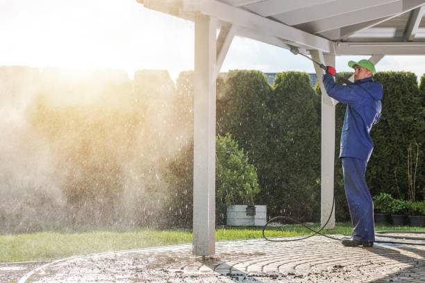  Luna Pier, MI Pressure Washing Pros