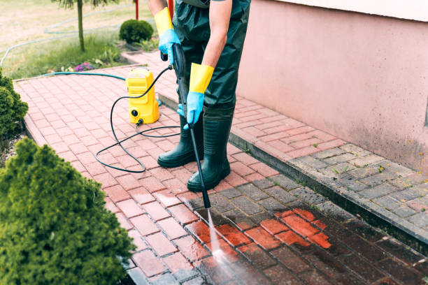 Best Restaurant Pressure Washing  in Luna Pier, MI